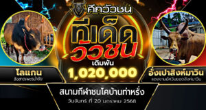 วิเคราะห์ วัวชนวันนี้ By suekwuachon (20-1-68)