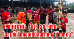 แซมซั่น เอาชนะ อ้ายหม้ง ศึกชนโคเงินเดิมพัน 60 ล้านคู่เอกที่เมืองคอน